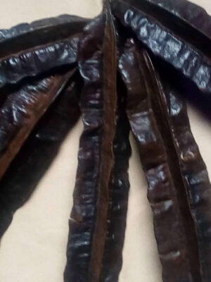 Fruit 4 côtés - 4 gousses