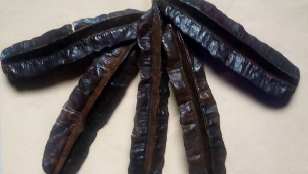 Fruit 4 côtés - 4 gousses